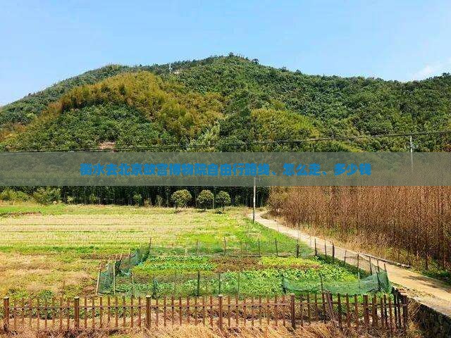 衡水去北京故宫博物院自由行
