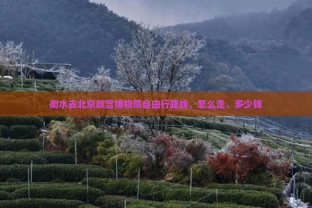 衡水去北京故宫博物院自由行