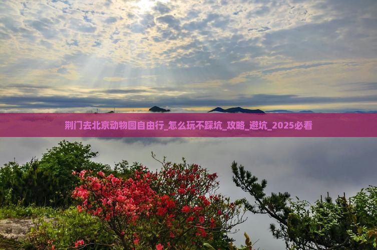 荆门去北京动物园自由行