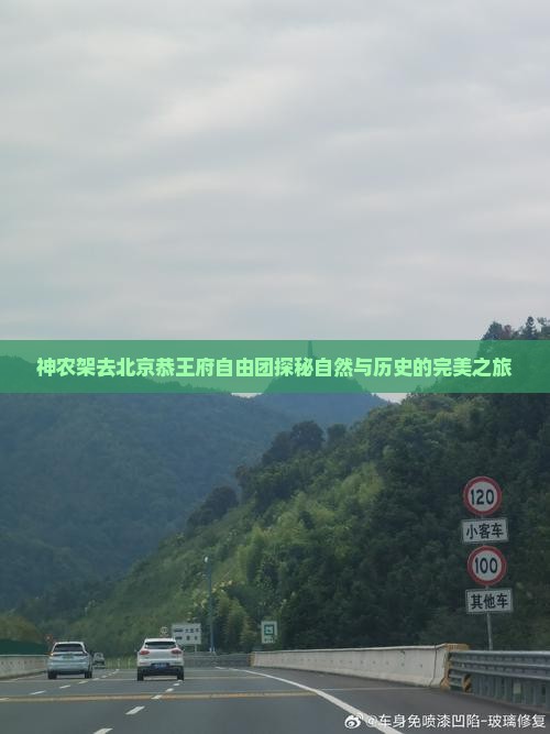 神农架去北京恭王府自由团