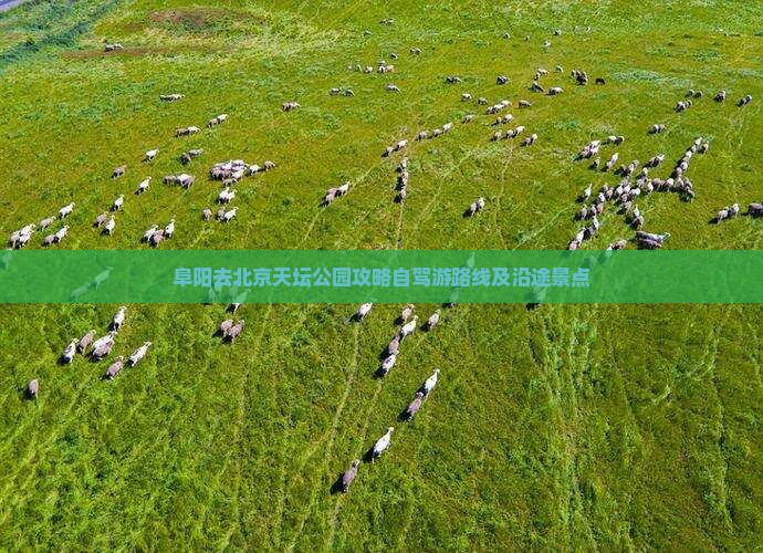 阜阳去北京天坛公园攻略
