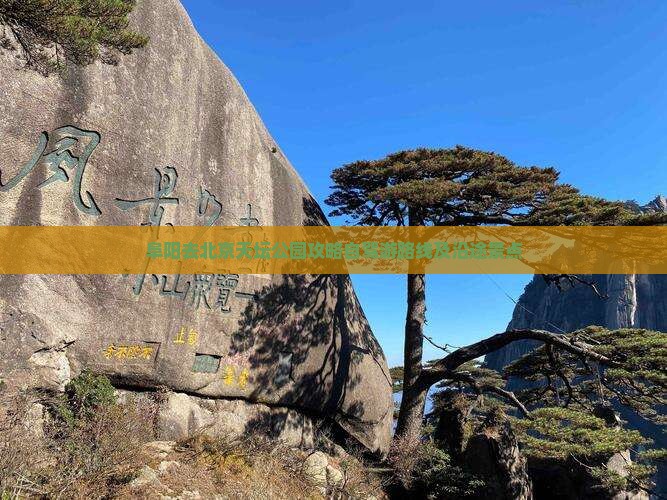阜阳去北京天坛公园攻略