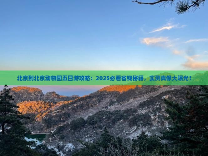 北京到北京动物园五日游