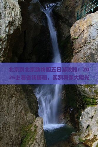 北京到北京动物园五日游