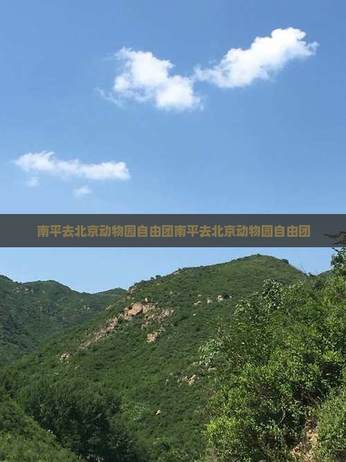 南平去北京动物园自由团