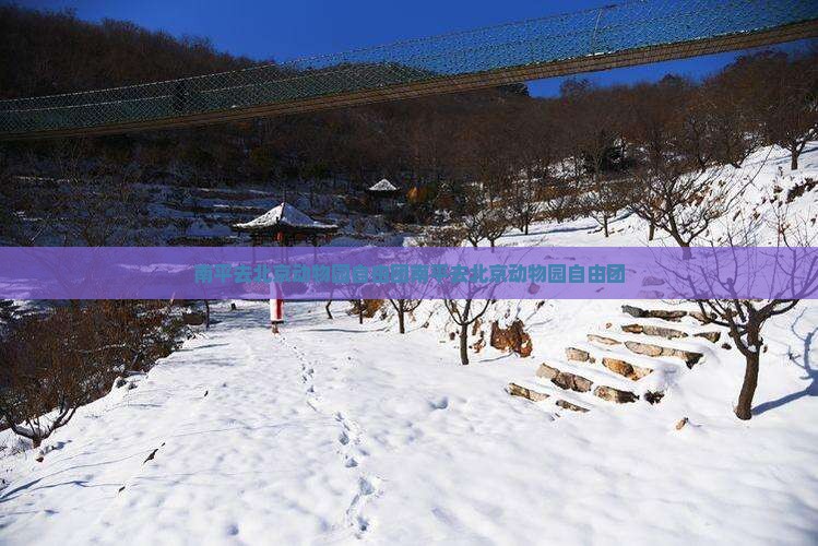 南平去北京动物园自由团