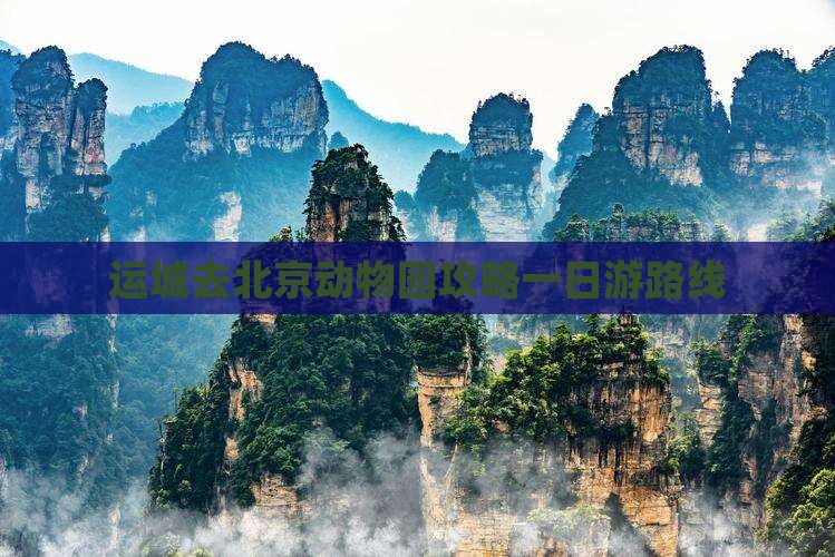 运城去北京动物园攻略