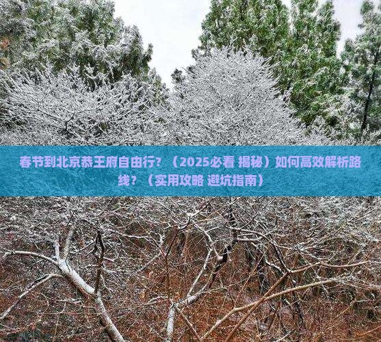 春节到北京恭王府自由行