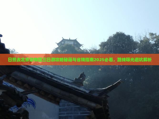 日照去北京动物园三日游