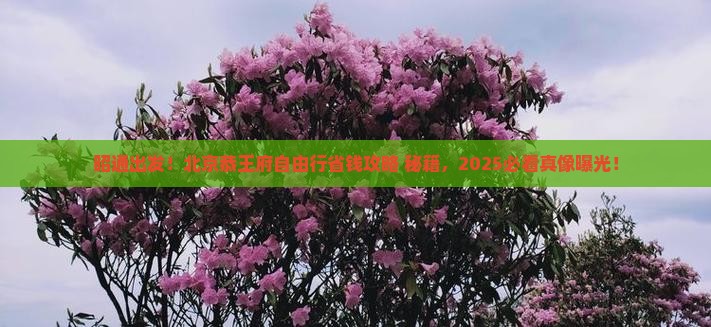 昭通到北京恭王府自由团