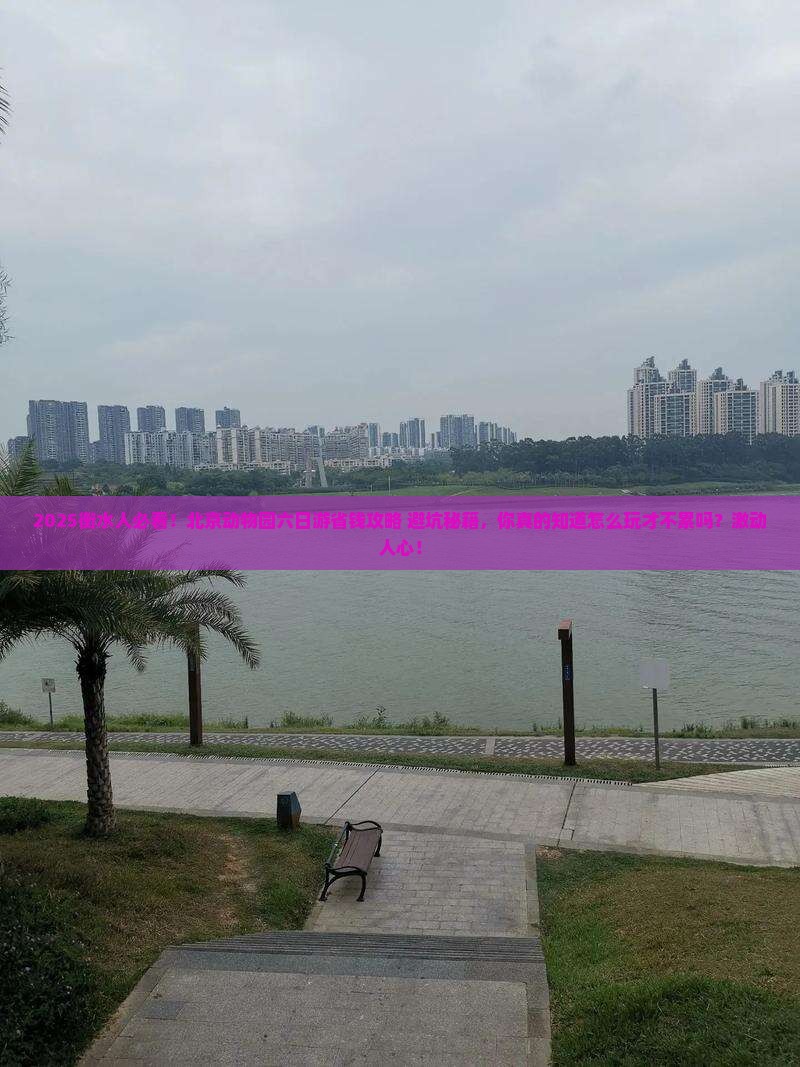 衡水到北京动物园六日游