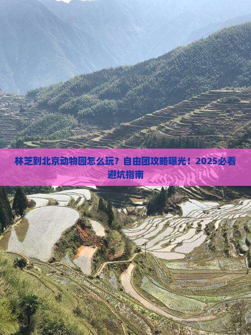 林芝到北京动物园自由团