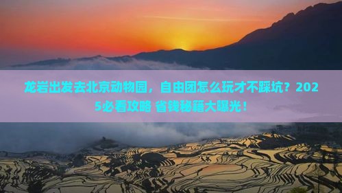 龙岩到北京动物园自由团