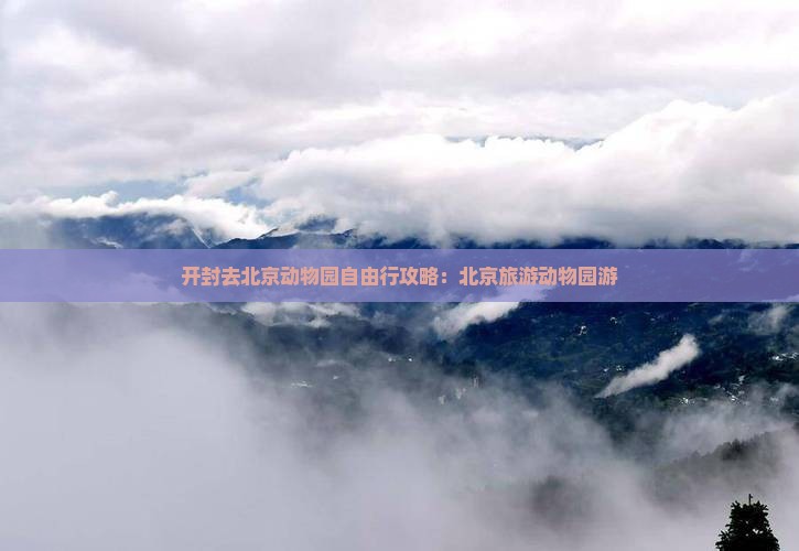 开封去北京动物园自由行