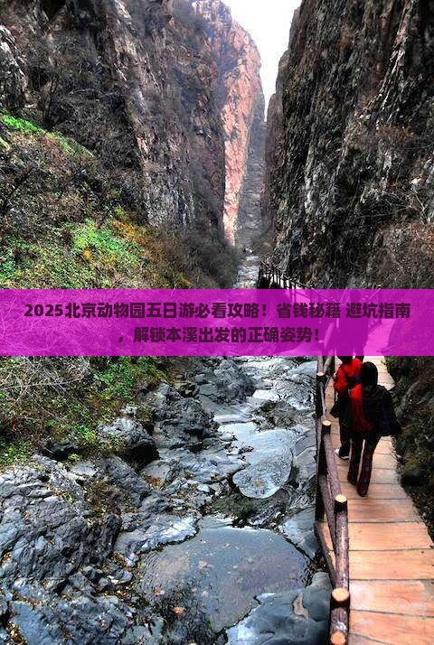 本溪去北京动物园五日游