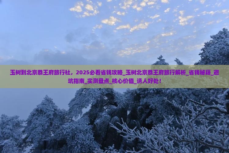 玉树到北京恭王府旅行社