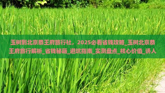 玉树到北京恭王府旅行社