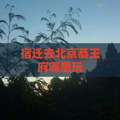 宿迁去北京恭王府哪里玩