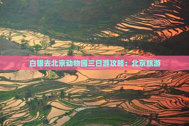 白银去北京动物园三日游