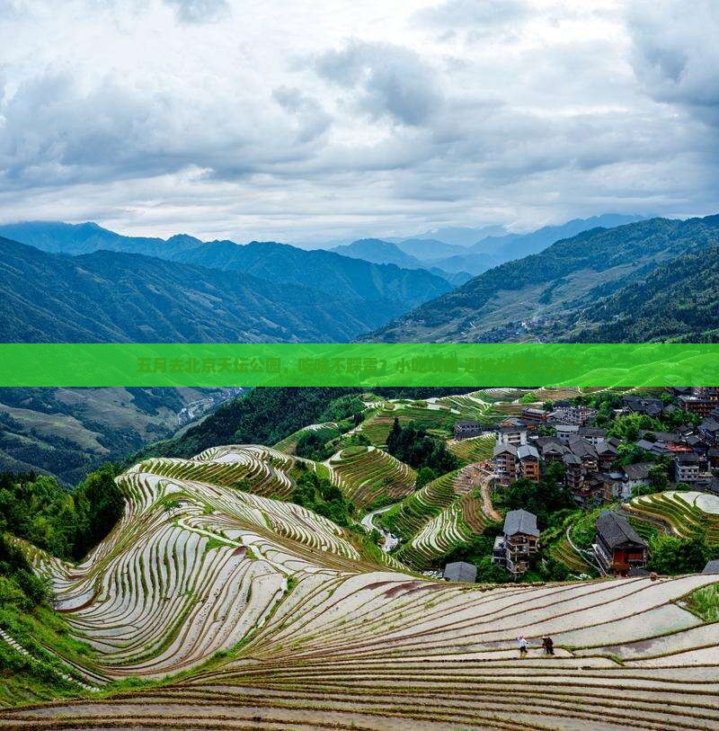 五月到北京天坛公园旅游小吃