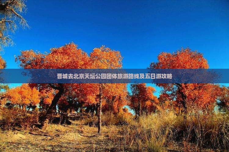 晋城去北京天坛公园团体旅游