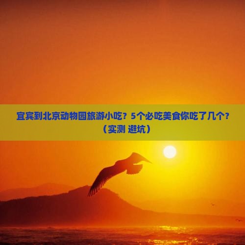 宜宾到北京动物园旅游小吃