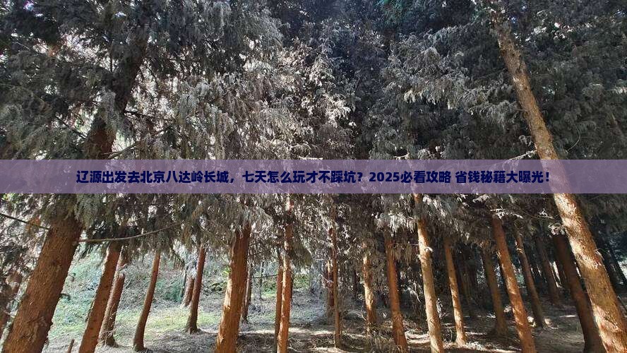 辽源去北京八达岭长城七日游