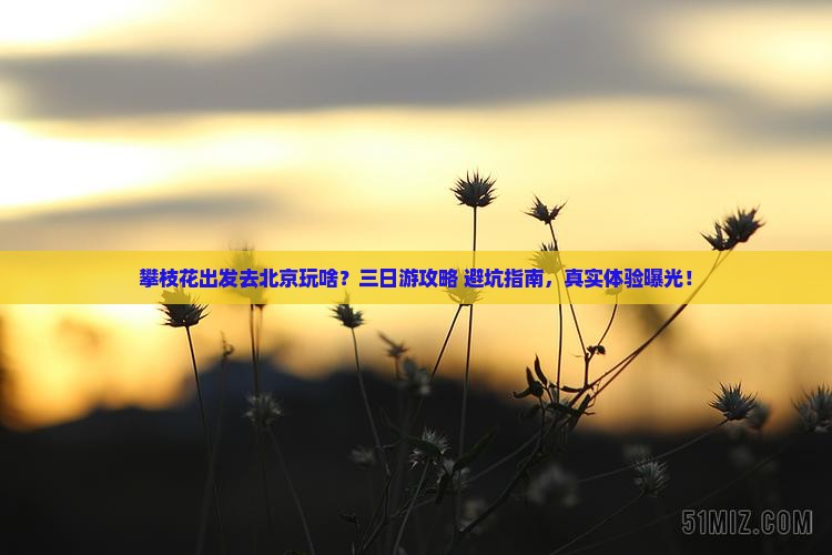 攀枝花去北京三日游