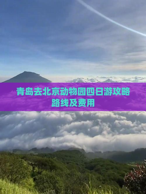 青岛去北京动物园四日游