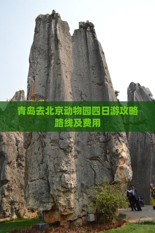 青岛去北京动物园四日游