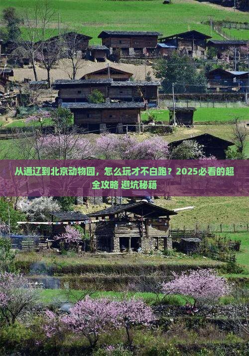 通辽市到北京动物园哪里玩 通辽市到北京动物园哪里玩