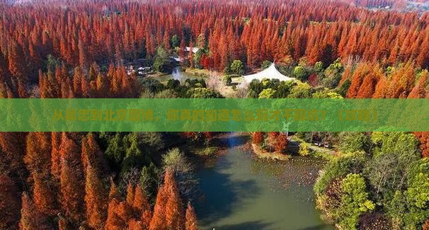 吴忠到北京中国国家博物馆个人游