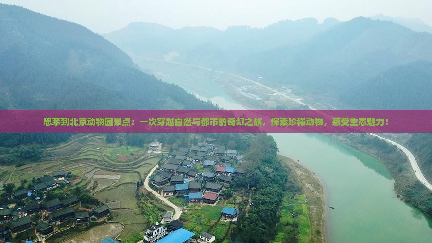 思茅到北京动物园景点