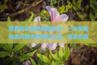 思茅到北京动物园景点