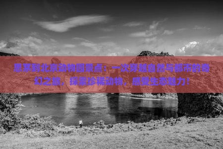 思茅到北京动物园景点
