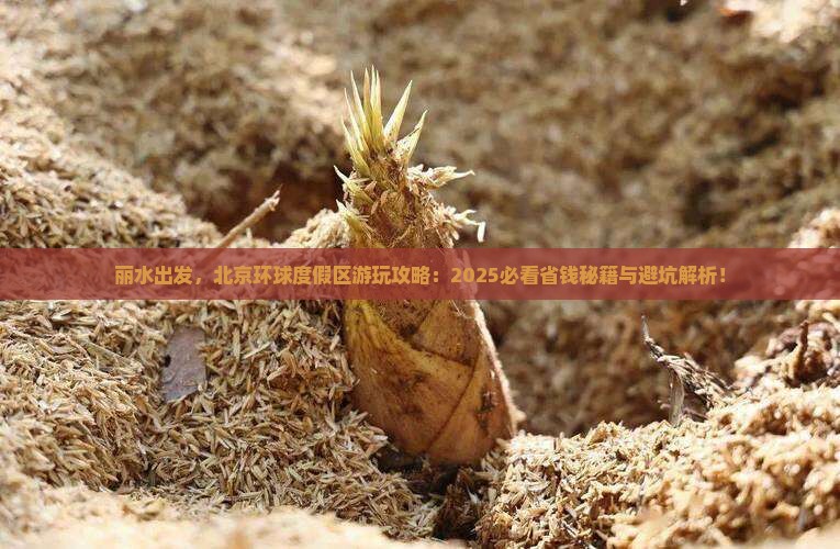 丽水去北京环球度假区哪里玩 丽水去北京环球度假区哪里玩