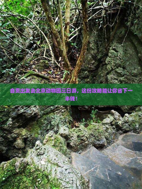 自贡到北京动物园三日游