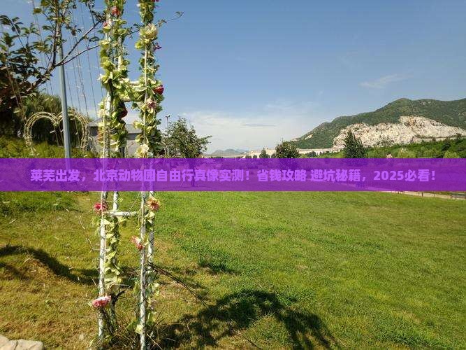 莱芜到北京动物园自由行