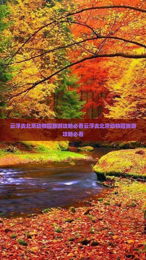 云浮去北京动物园旅游