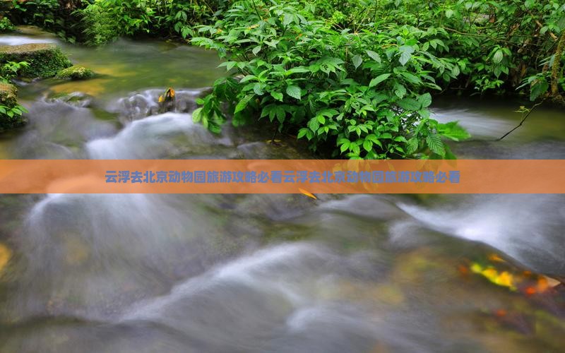 云浮去北京动物园旅游