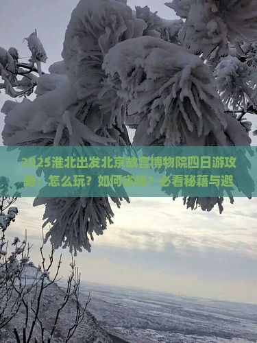 淮北去北京故宫博物院四日游