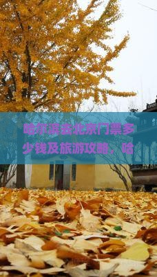 哈尔滨去北京门票