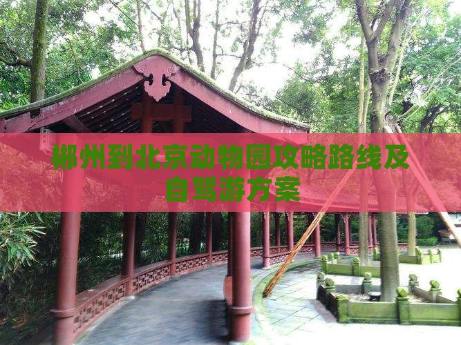 郴州到北京动物园攻略