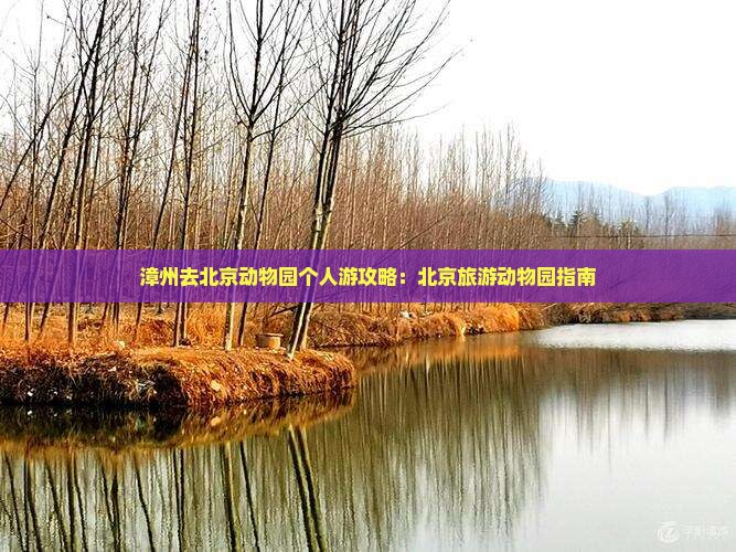 漳州去北京动物园个人游