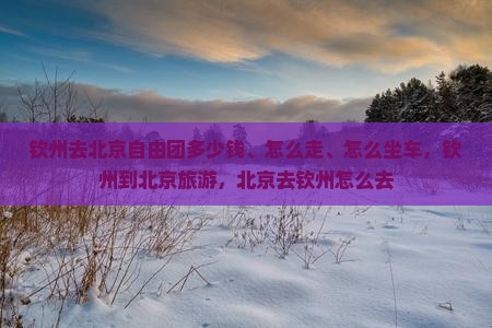 钦州去北京自由团