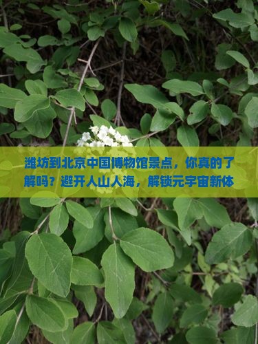 潍坊到北京中国国家博物馆景点
