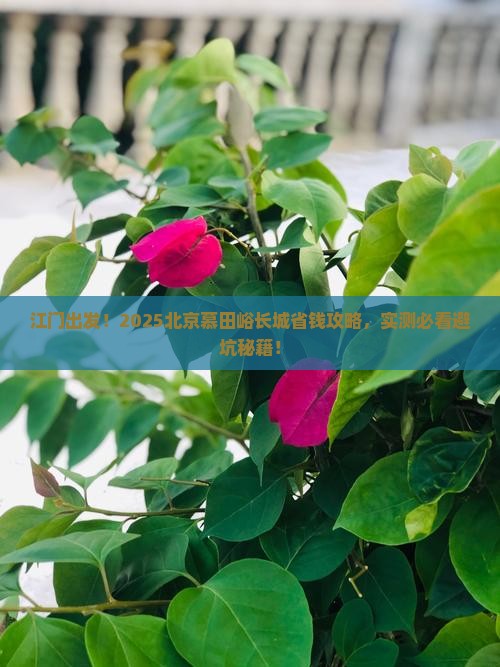 江门去北京慕田峪长城旅游