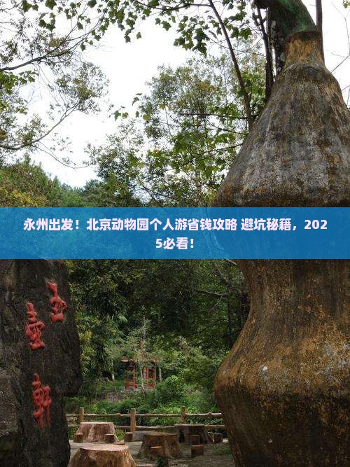 永州到北京动物园个人游