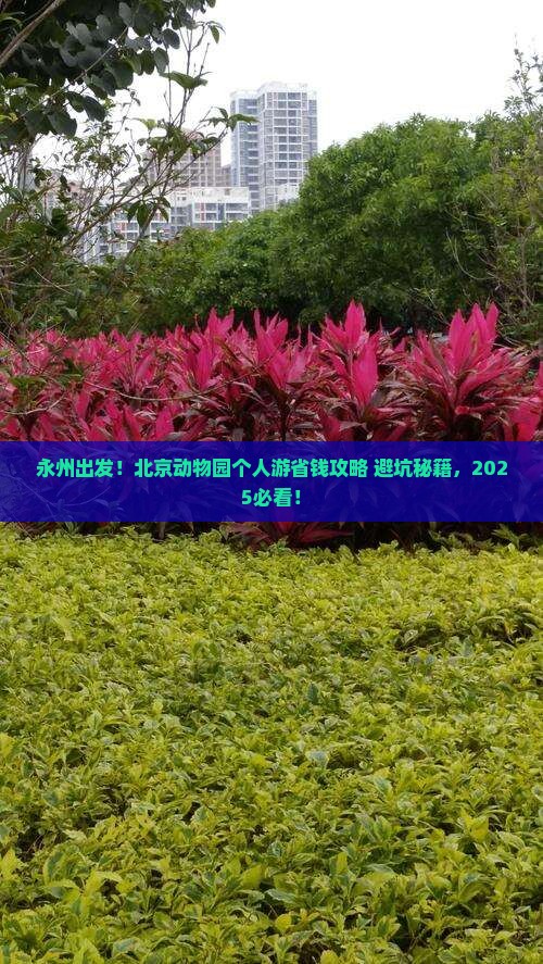 永州到北京动物园个人游