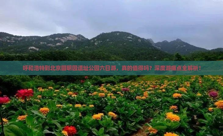 呼和浩特到北京圆明园遗址公园六日游 呼和浩特到北京圆明园遗址公园六日游